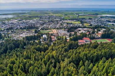 02-0 E 16th Street Arcata-102