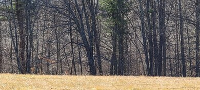 20211214_114843_resized