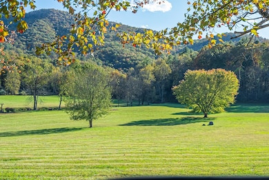 2887 Tessentee Rd, Franklin, NC 28734 - photo 7