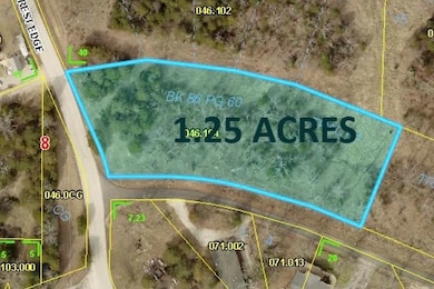 162 Forest Edge Ln, Kimberling City, MO 65686 - photo 2