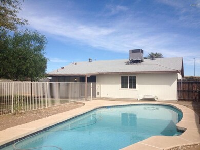 Sweet Backyard!