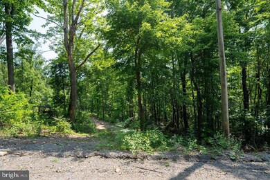 0 Hidden Rd unit VAPA2004990, Luray, VA 22835 - photo 4