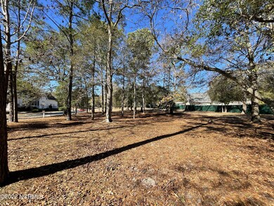 9280 Dever SW, Calabash, NC 28467 - photo 4