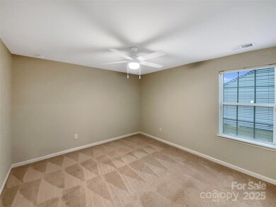 2009 Trindle Vine Ln, Waxhaw, NC 28173 - photo 4