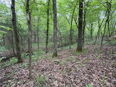 Tract 7 Nwf 517, Other Ar, AR 71935 - photo 2