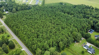 TBD Old Railroad Rd, Conway, SC 29527 - photo 2