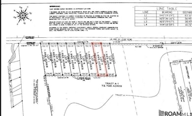 Lot #7 Louisiana 22, Darrow, LA 70725 - photo 2