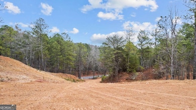 2310 E Hermitage Rd, Kingston, GA 30145 - photo 7