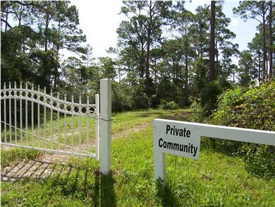 2970 Pristine Dr, Carrabelle, FL 32322 - photo 5