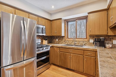 14918 200th Ave NW, Elk River, MN 55330 - photo 6