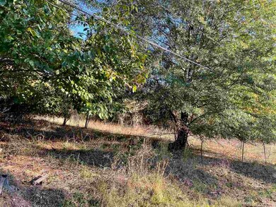 74 Tony Ln, Texarkana, TX 75501 - photo 5