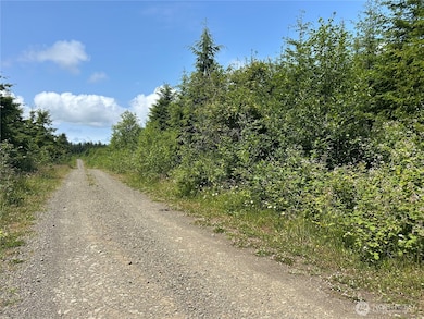 0 Walberg Rd unit NWM2397686, Chinook, WA 98614 - photo 6