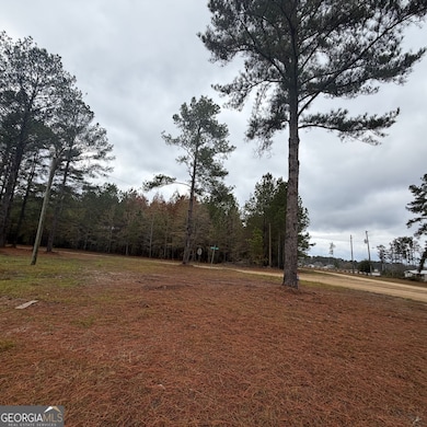 0 Hulsey Dr, Metter, GA 30439 - photo 2