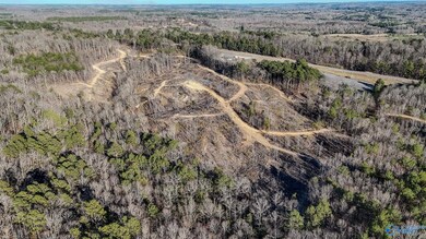 32 Acres Hwy 43, Hamilton, AL 35570 - photo 5