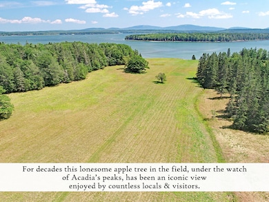 Field (7), label