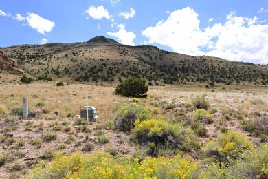 966 Pronghorn Trail, Del Norte, CO 81132 - photo 5