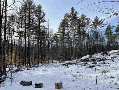 Lot 12 Kidder Dr unit 12, Freedom, NH 03836 - photo 2