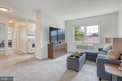 2303 Farrington Ave unit 2-302, Alexandria, VA 22303 - photo 5