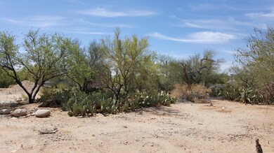 MANY MATURE TREES