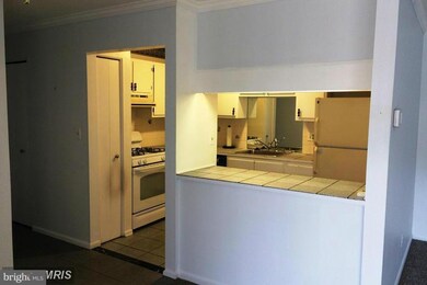 207 Erin Way unit 101, Reisterstown, MD 21136 - photo 6