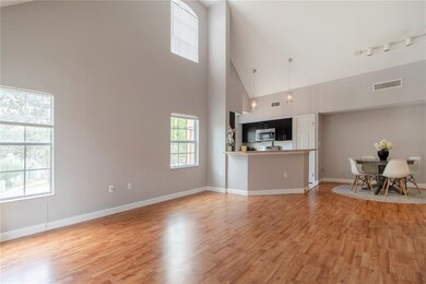 Kitchen and Living room view