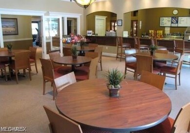 1011 Aqua Marine Blvd, Avon Lake, OH 44012 - photo 6