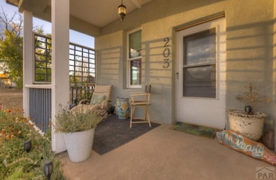 203 E Field St, La Veta, CO 81055 - photo 3