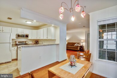 105 Timberbrook Ln unit 101, Gaithersburg, MD 20878 - photo 6