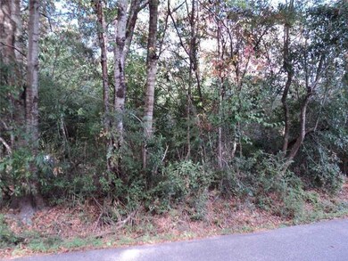 0 Pine Street Extension None unit 1011743, Pearl River, LA 70452 - photo 2