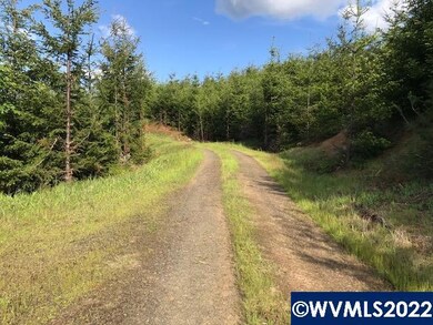 0 Old Military (Frontage) Rd unit 792803, Dallas, OR 97338 - photo 5