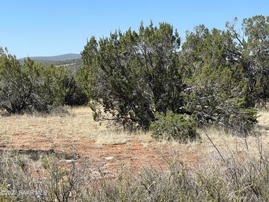 31767 W Rancho Vista Ln, Seligman, AZ 86337 - photo 5