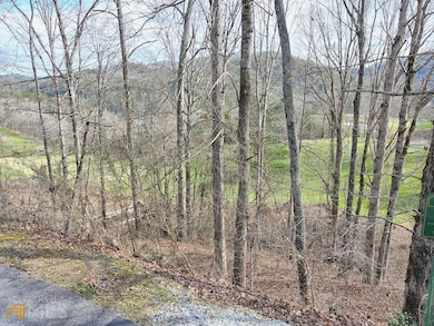 0 Waterfall Dr unit LOT G1 10436783, Clayton, GA 30525 - photo 5