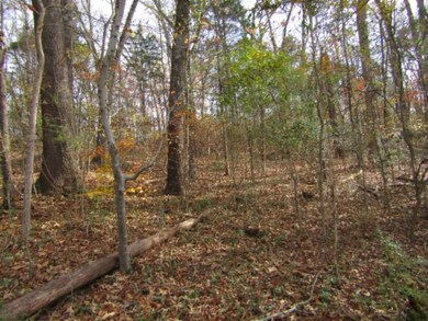 0 River Oaks Dr unit RTC2607339, Spencer, TN 38585 - photo 5