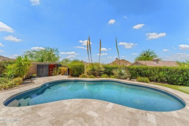 Backyard 1