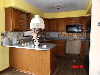 Kitchen featuring dark wood-type flooring, sink, tasteful backsplash, a textured ceiling, and kitchen peninsula