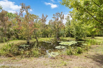 1250 Adamson Rd, Cocoa, FL 32926 - photo 4