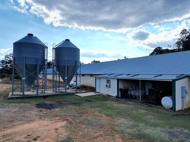 5100 Mount Ida Rd, Luverne, AL 36049 - photo 6