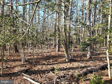 1914 E Tedious Creek Rd, Toddville, MD 21672 - photo 6