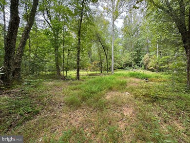 Lot 0110 Mountain Track Rd, Orange, VA 22960 - photo 7