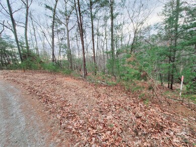 000 Birddog Blvd unit 328, Lake Lure, NC 28746 - photo 7