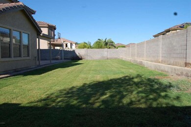 Backyard 2