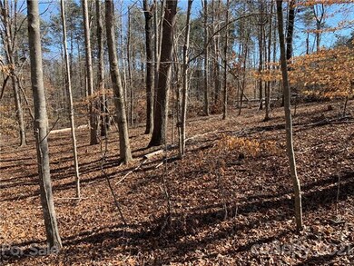 Buildable level 2 acre lot