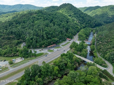 7018 E Lamar Alexander Pkwy, Townsend, TN 37882 - photo 4