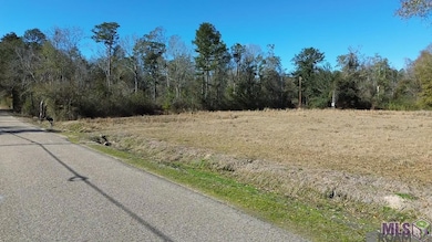 28519 Horseshoe Rd, Independence, LA 70443 - photo 3