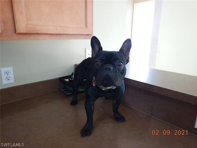 2006 NE 6th Place, Cape Coral, FL 33909 - photo 4