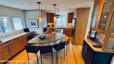 302 Roaring Fork Dr, Aspen, CO 81611 - photo 3