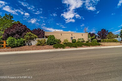 4909 E Pine Croft Dr, Farmington, NM 87402 - photo 5