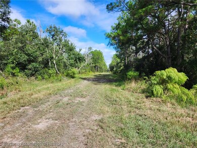 2946 W Twilley Rd, Avon Park, FL 33825 - photo 6