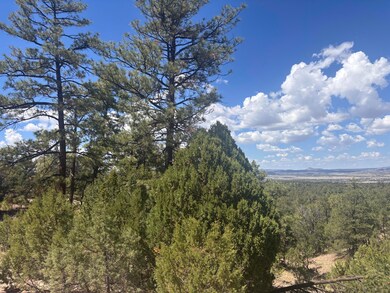 0 Lot 23 Tee Pee Ranch unit 1090346, Datil, NM 87821 - photo 4