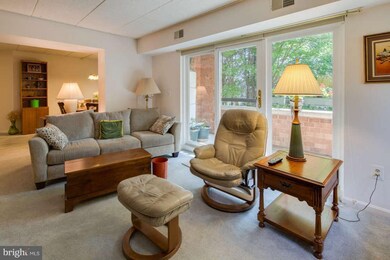 7317 Eden Brook Dr unit H202, Columbia, MD 21046 - photo 4